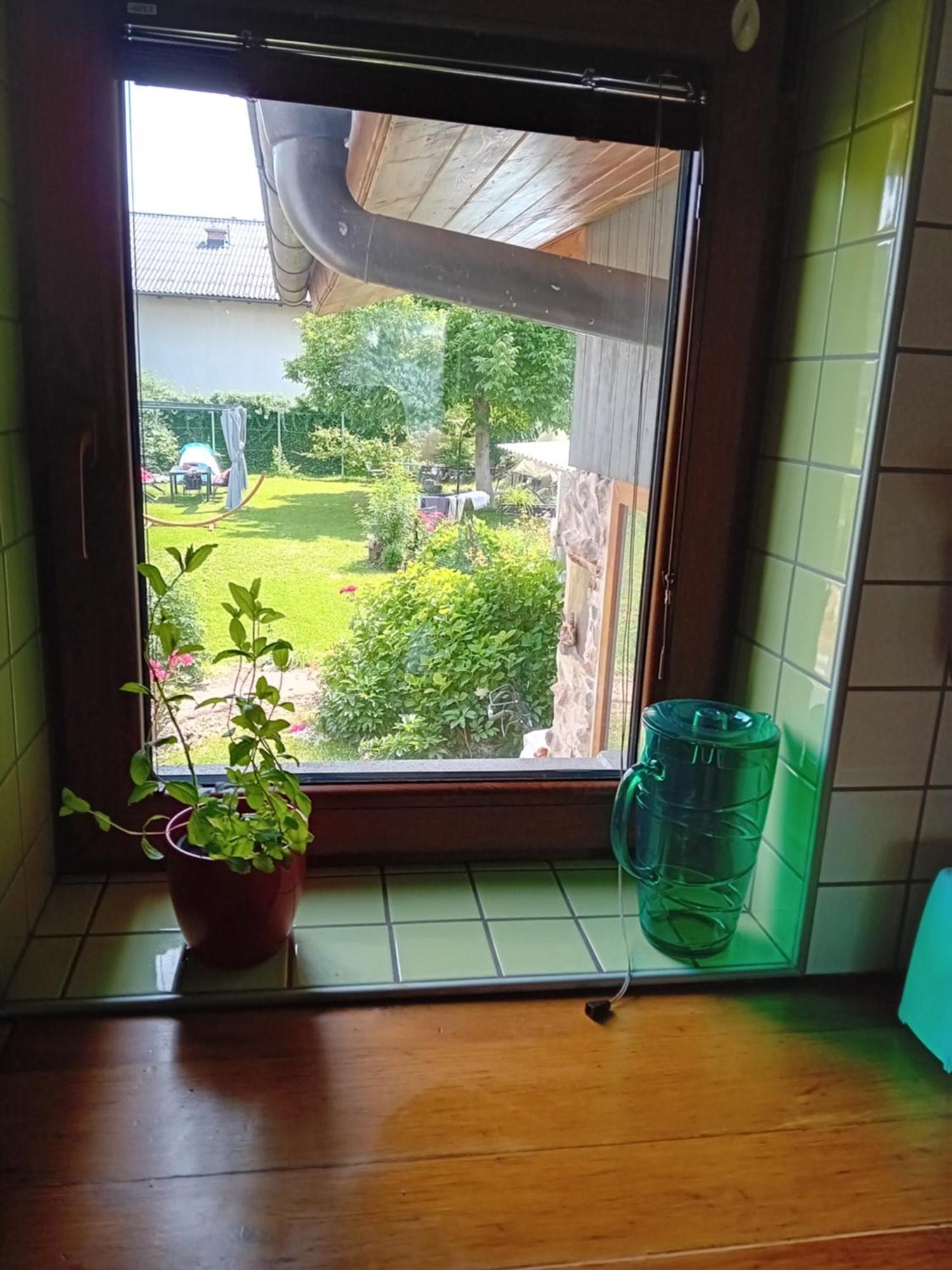 Apartment Baci For 4 Guests Ljubljana Dış mekan fotoğraf